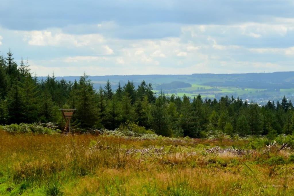 Gite Champetre Al Werihe Lierneux Buitenkant foto